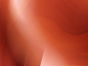 解读视觉问答领域的最新变化